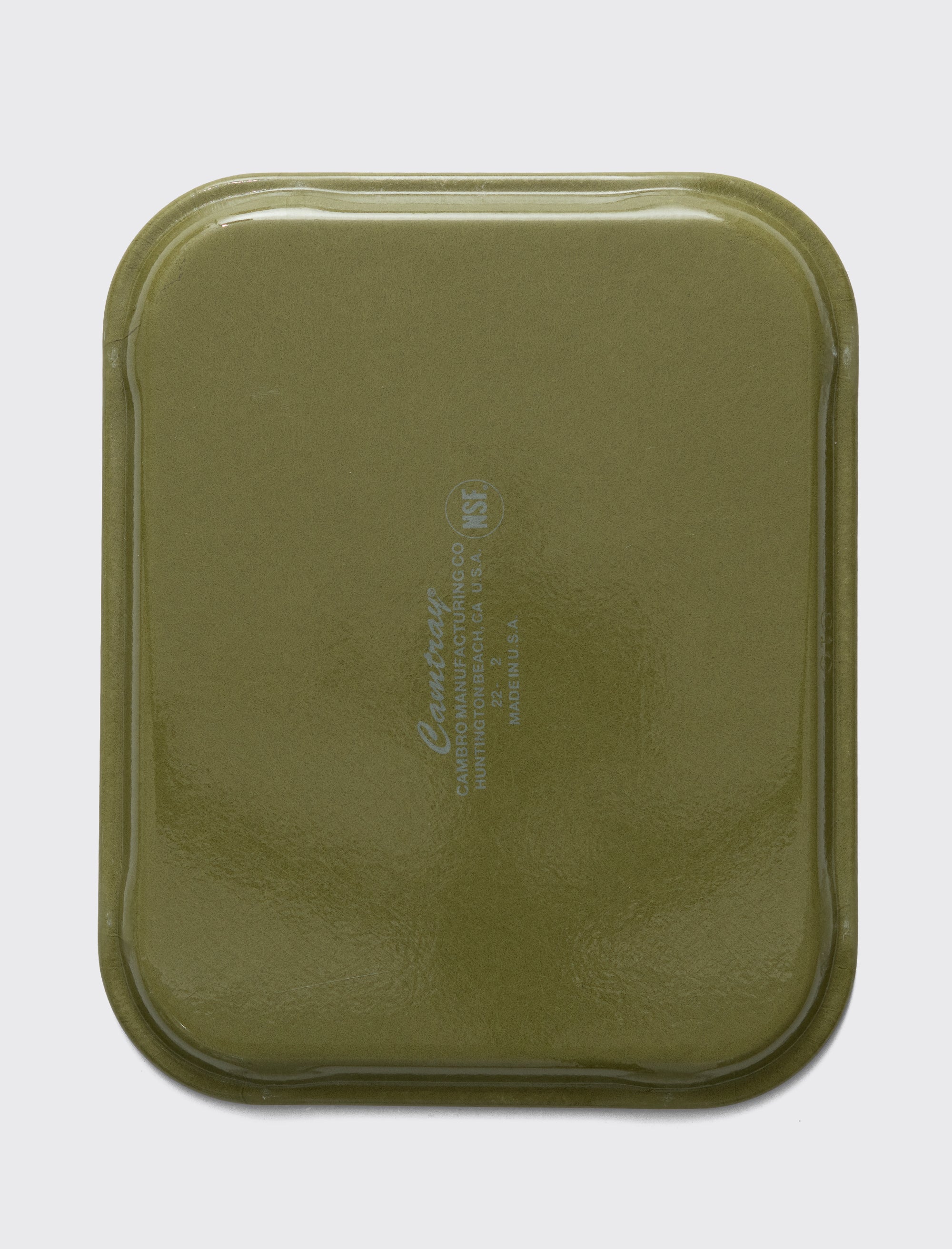 Camtray Large (Olive)