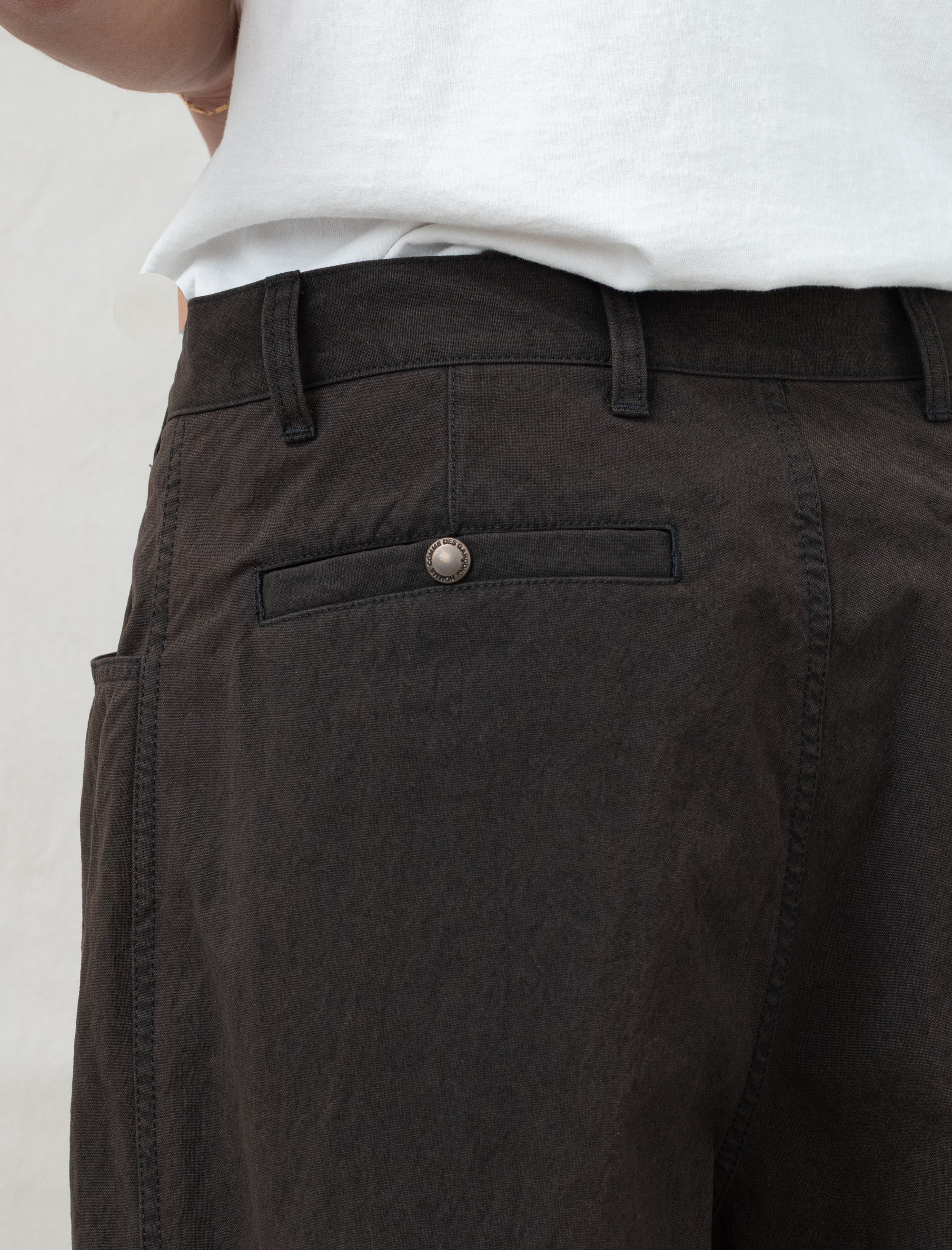Men's Pleated Pants (Brown)