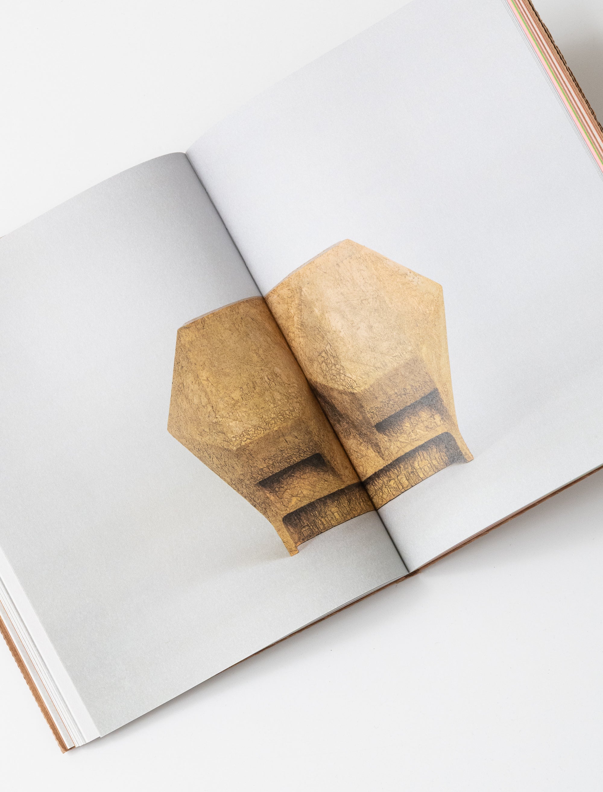 Tropic of Cancer - Ben Peterson