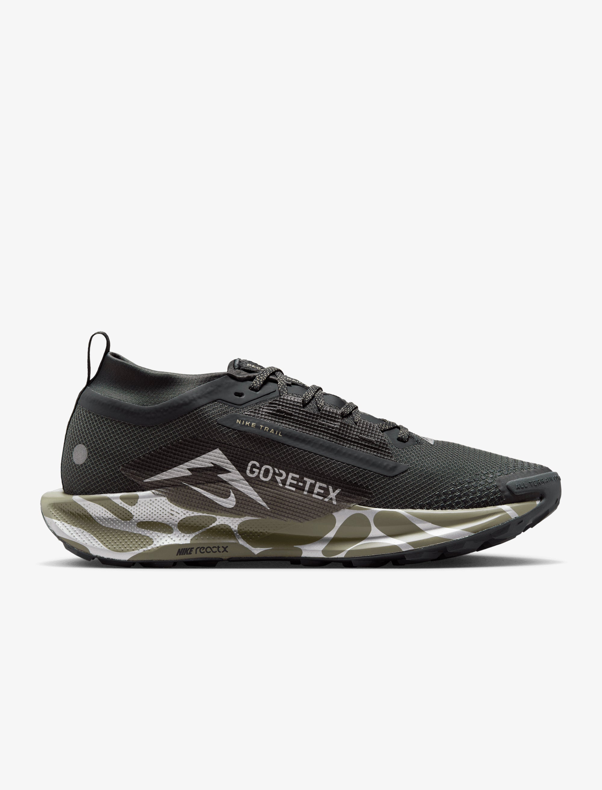 Nike Pegasus Trail Goretex