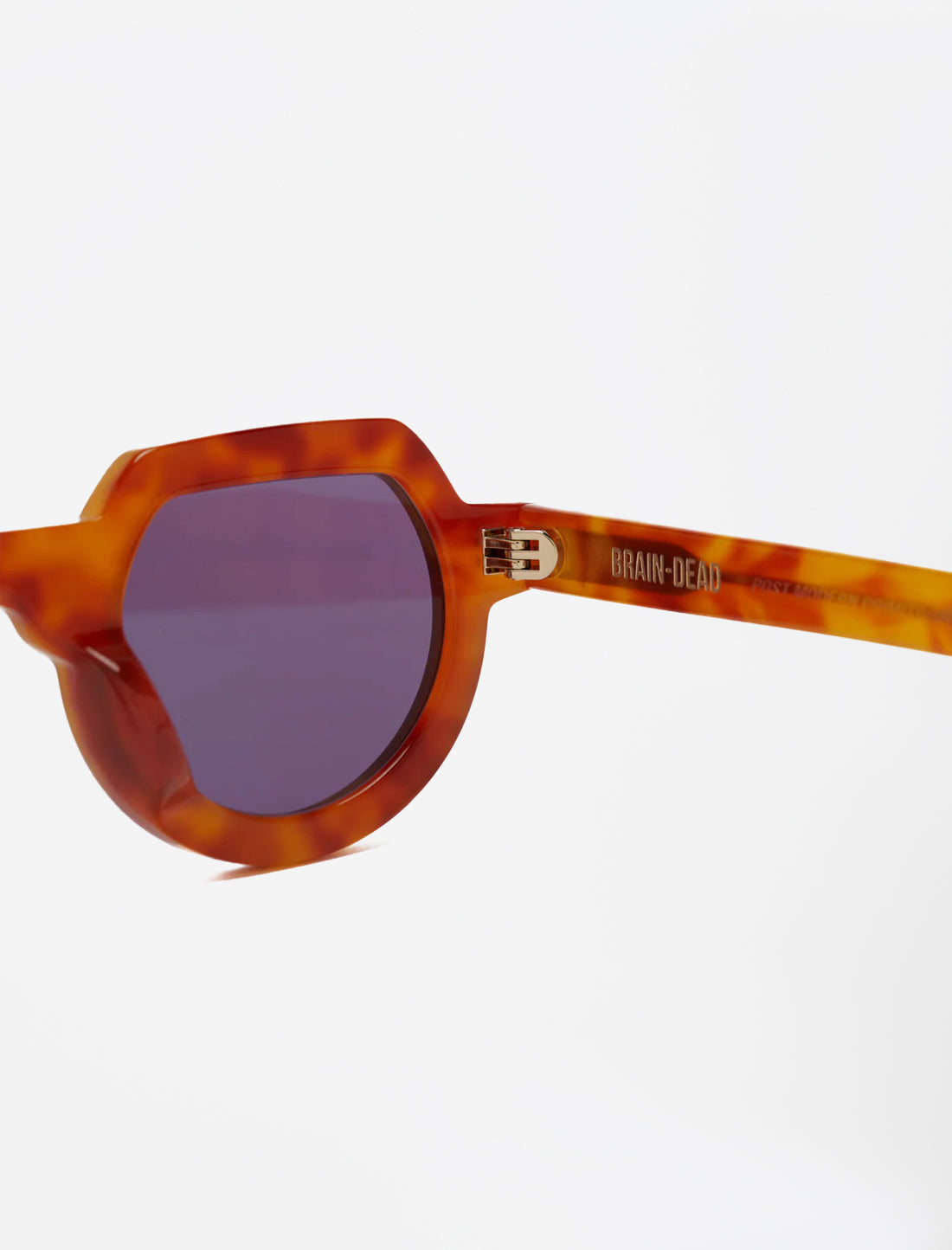 Tani Sunglasses (Honey Tortoise)