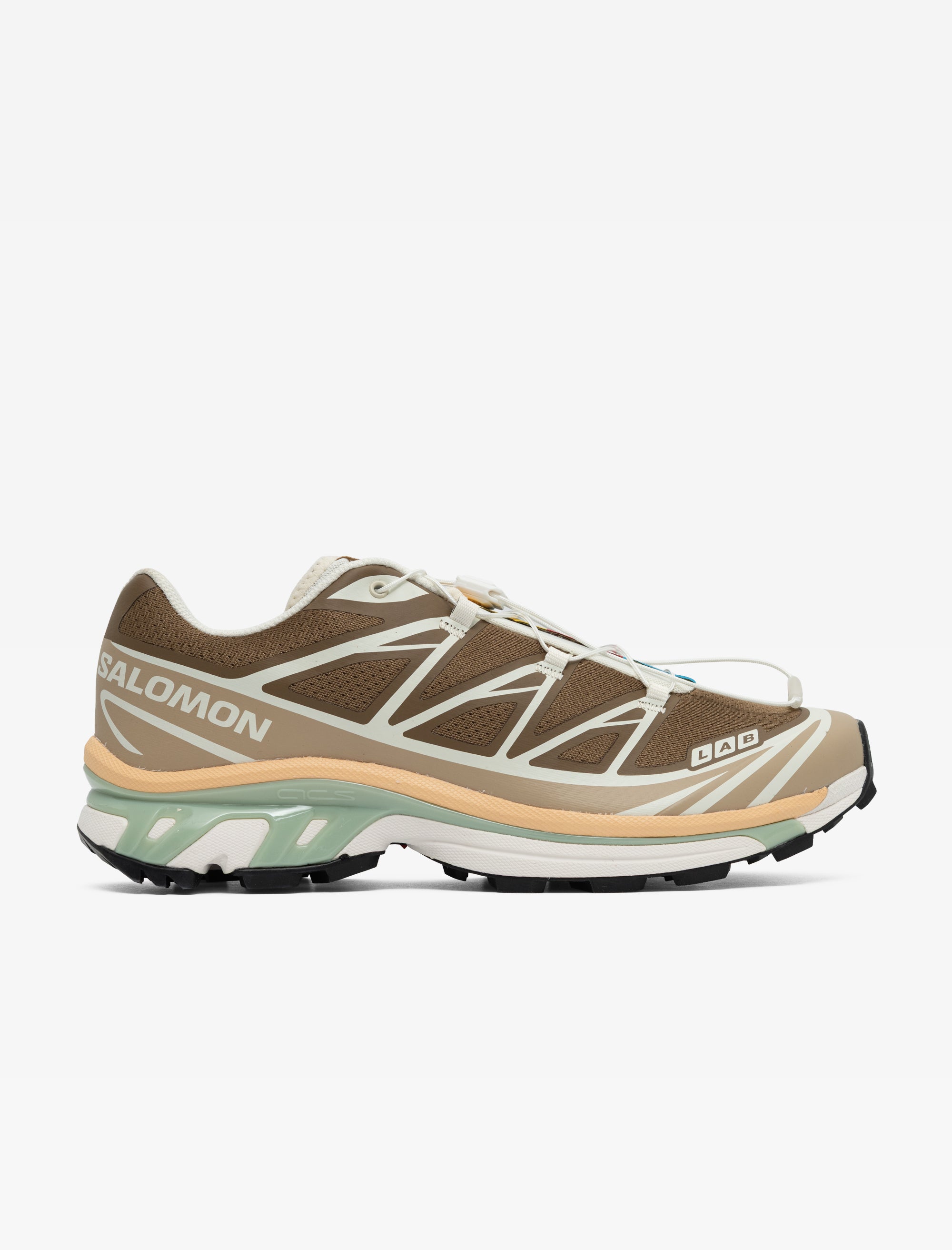 salomon XT-6 (Coyote Brown/Safari)