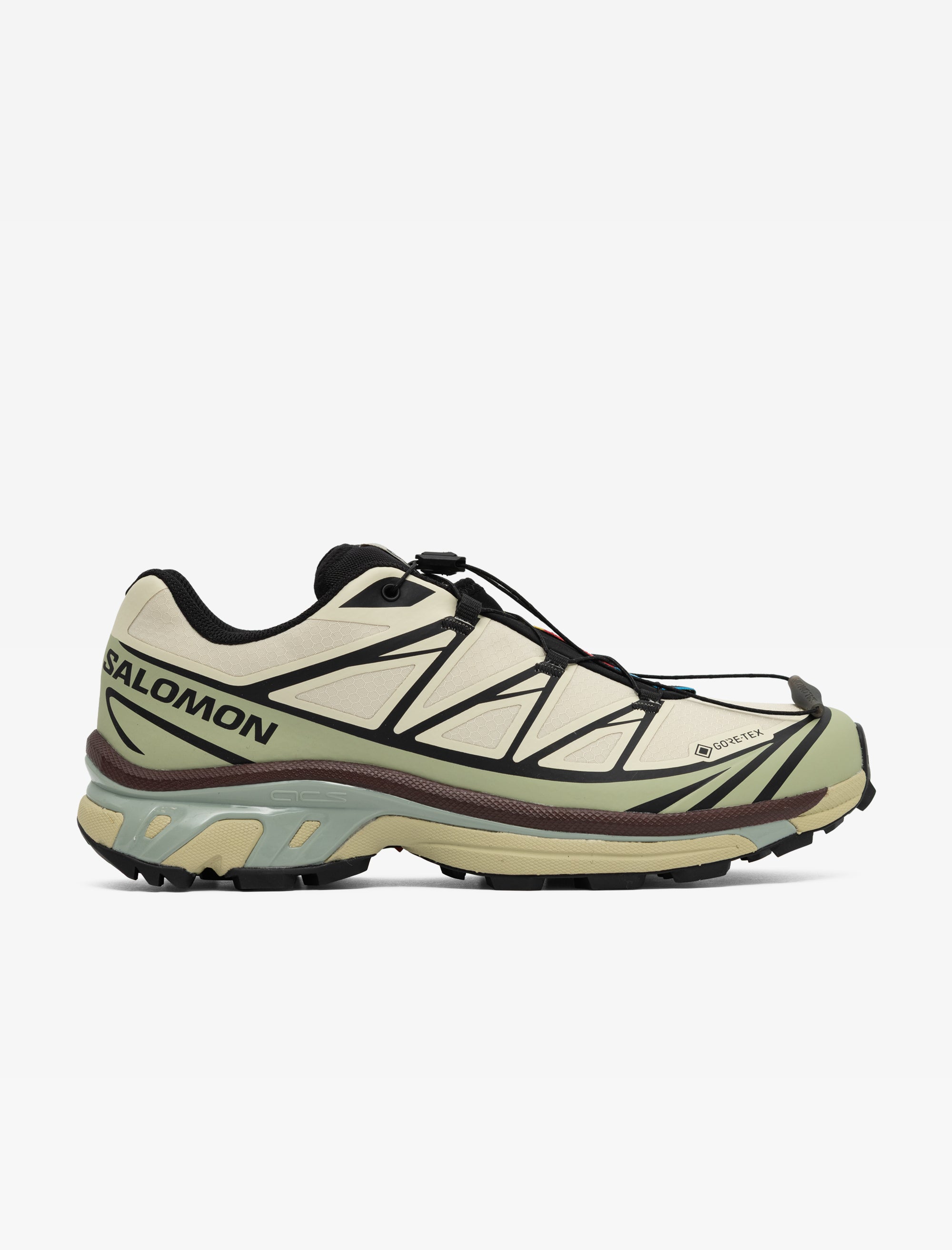 salomon XT-6 GTX (Aspargus Green/Tea)